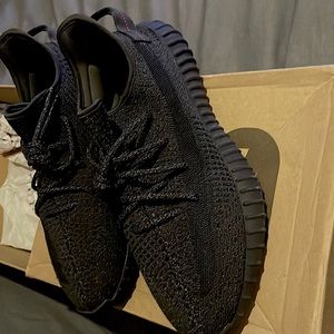 Yeezy boost 350 v2